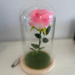 New Led Rose In Glass Dome 