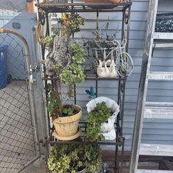 Garden Items