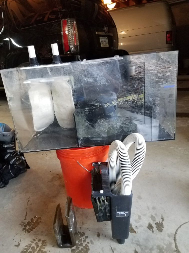 Fish tank filter refugium