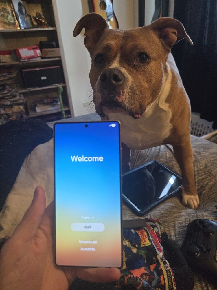 Galaxy S25 Ultra 256 Gbs 