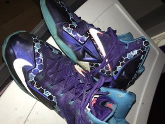 Lebrons blue hornets