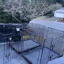 Medium Dog Kennel Crate Collapsible like New 30” L by 19” W 21”H $35 Each 