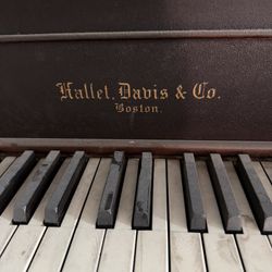 Hallet, Davis, & Co Grand Piano