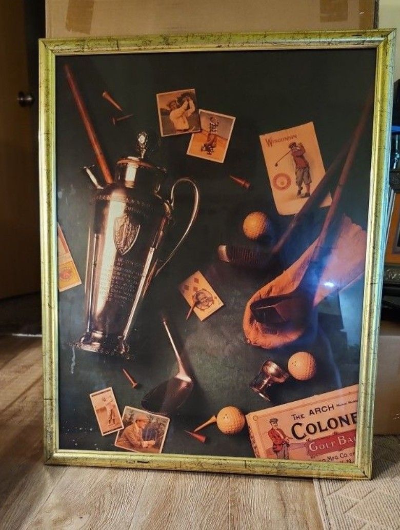 30'x29' Framed Picture