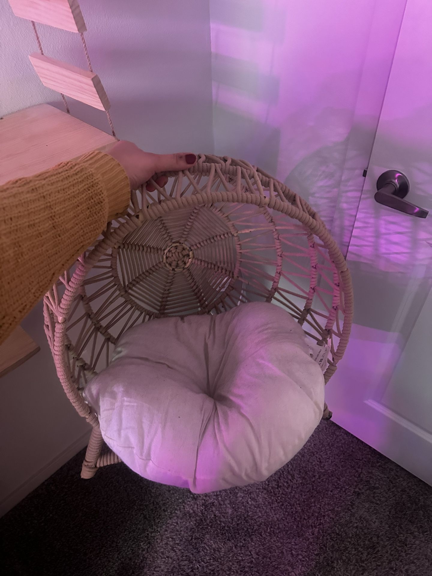 Cat Bed