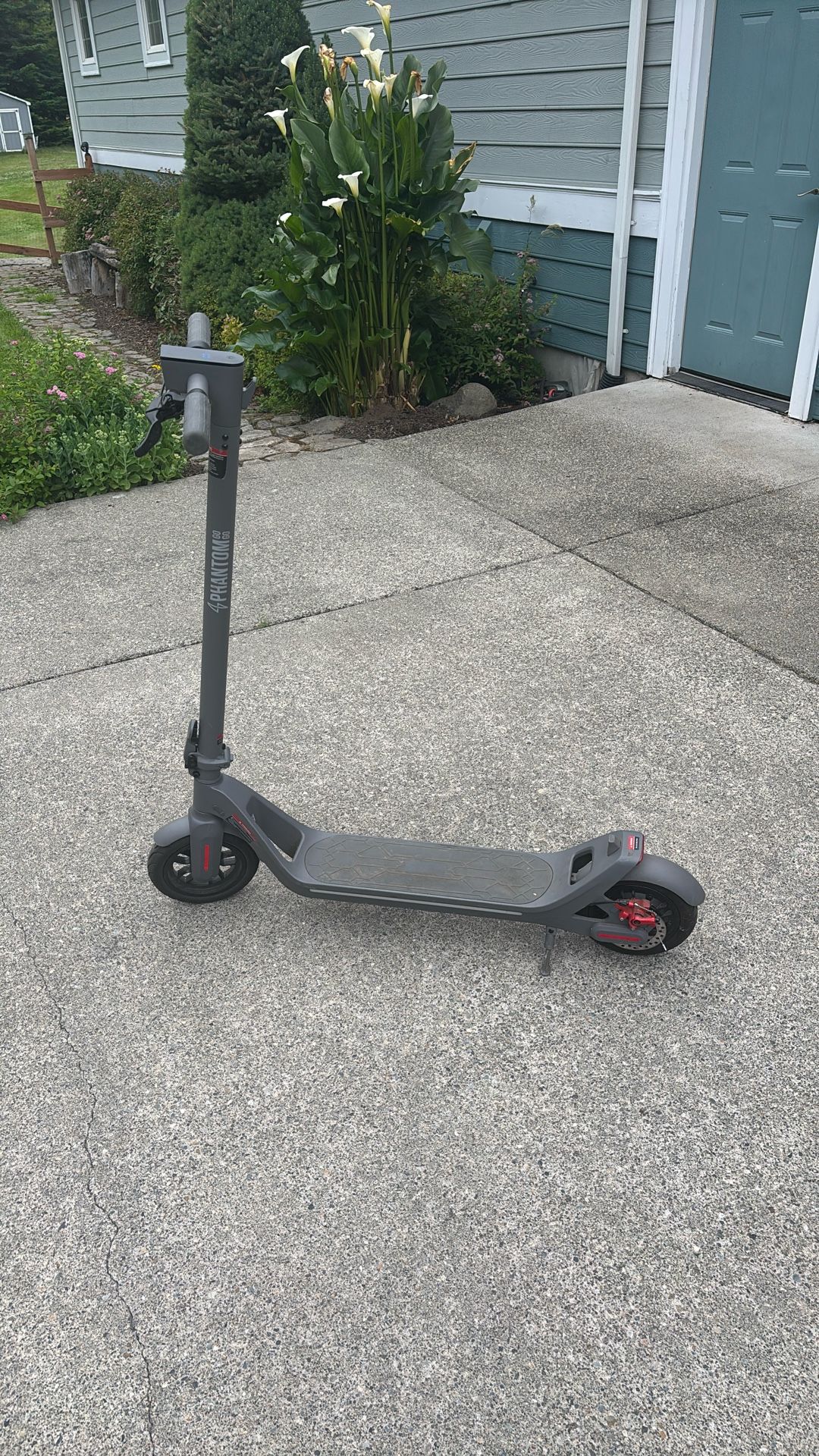 Electric Scooter (lightly used)
