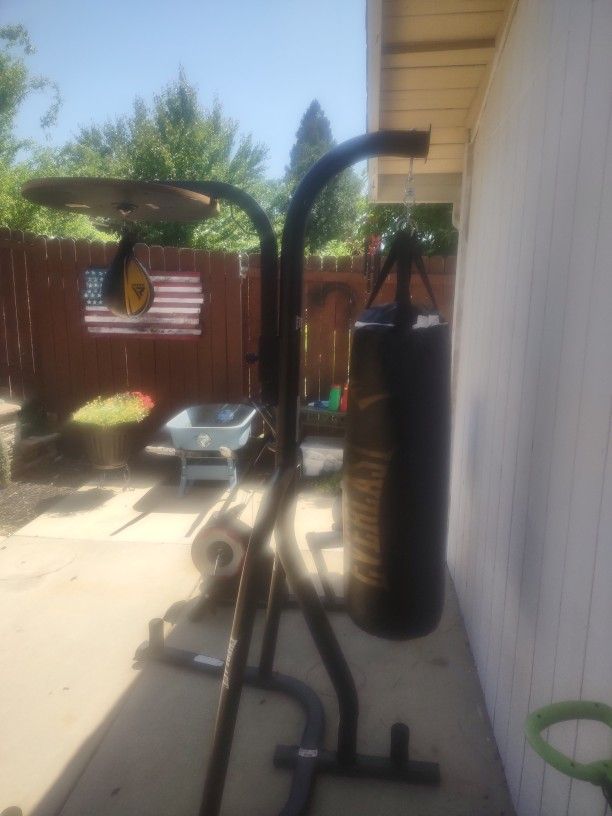 Gym Equipment