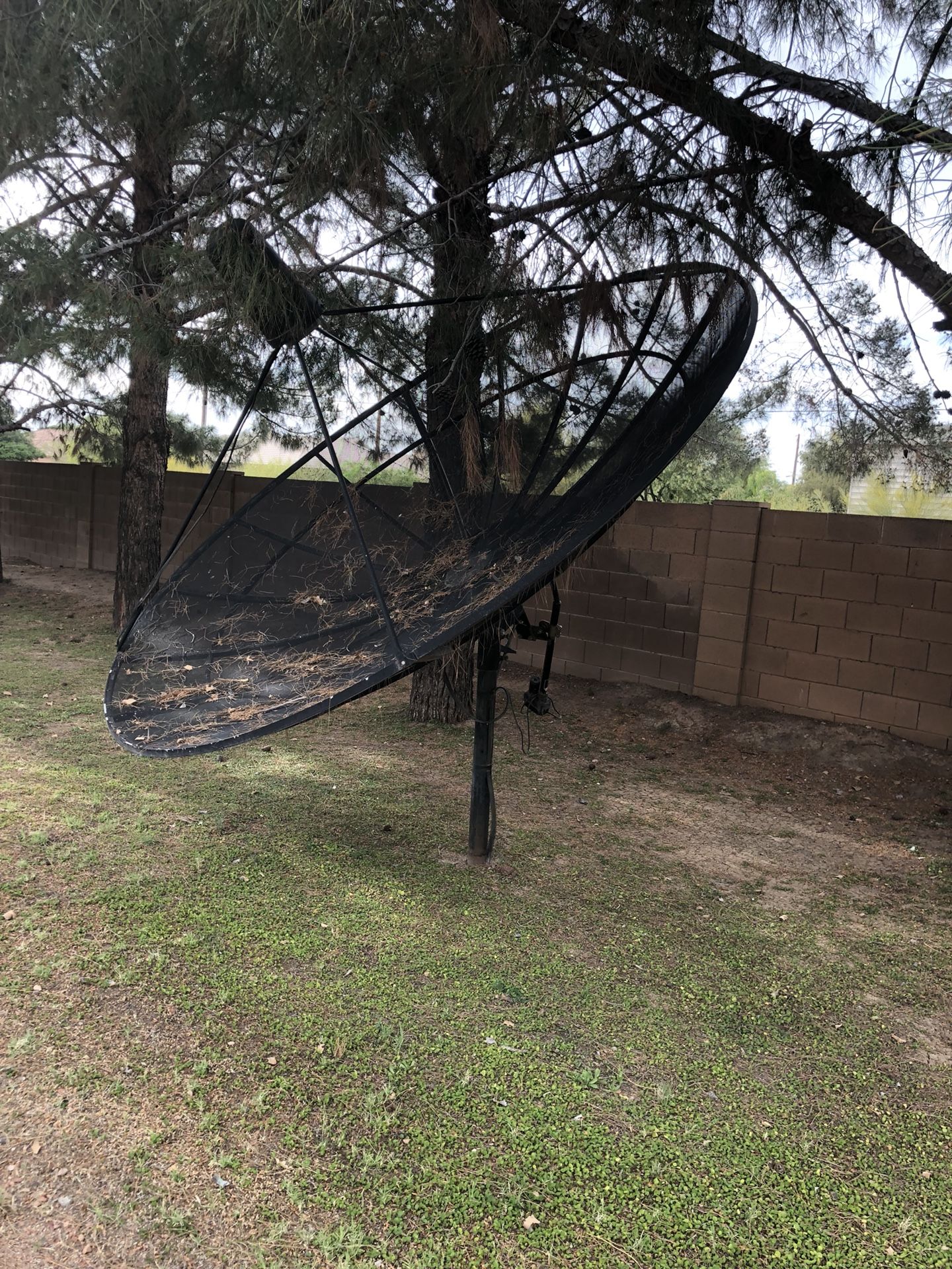 Large satellite dish