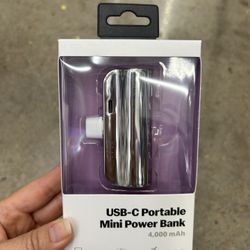 NWT USB-C portable mini power bank