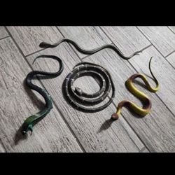 4 Prank Snakes