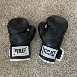 Everlast Boxing Gloves 