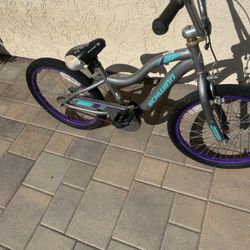 Schwinn 20 Inch BMX Bike
