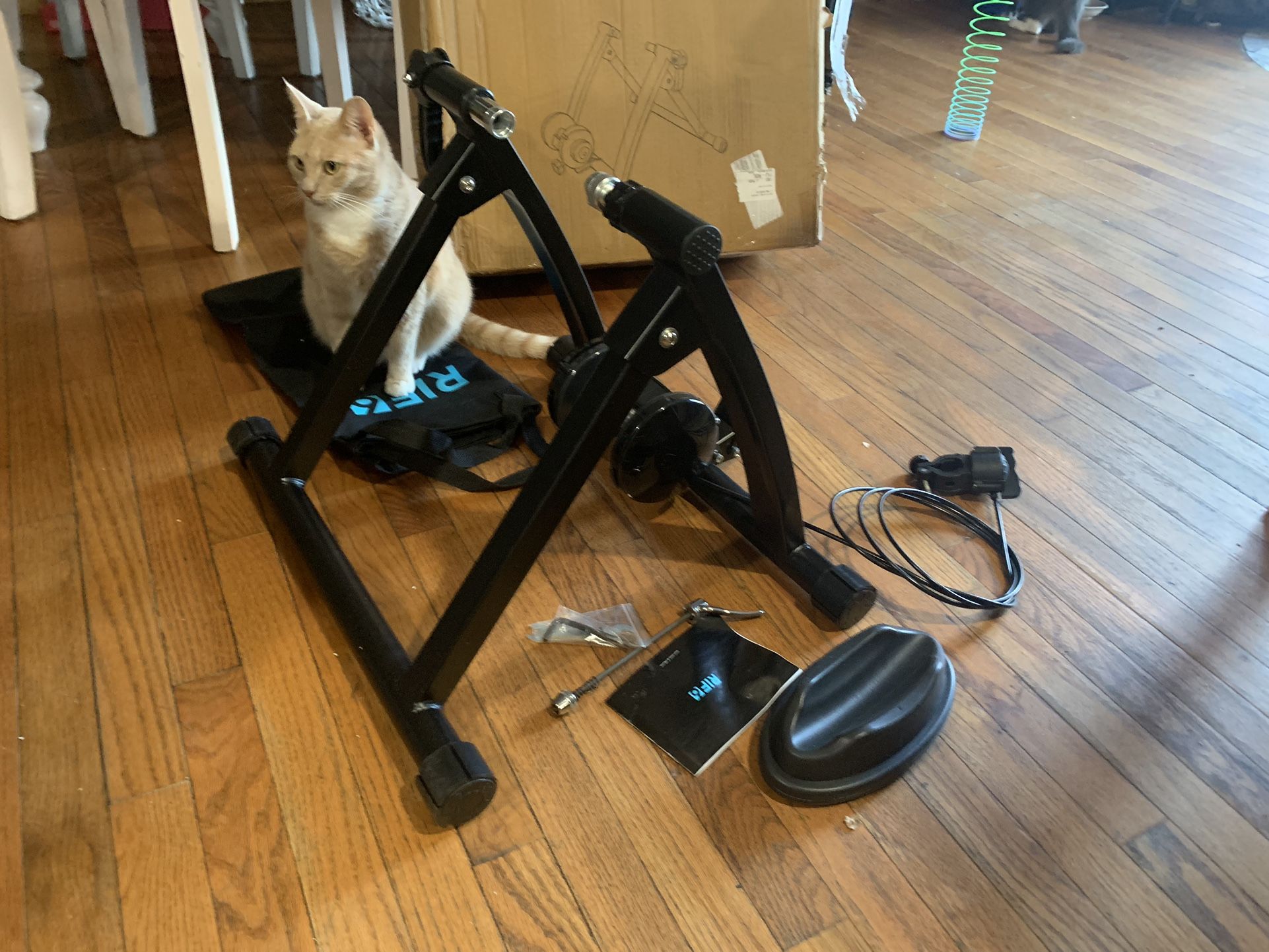 Magnetic Bike Training