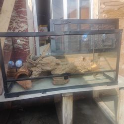 Glass Tank Terrarium Used 