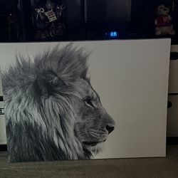 Large Lion Wall Art