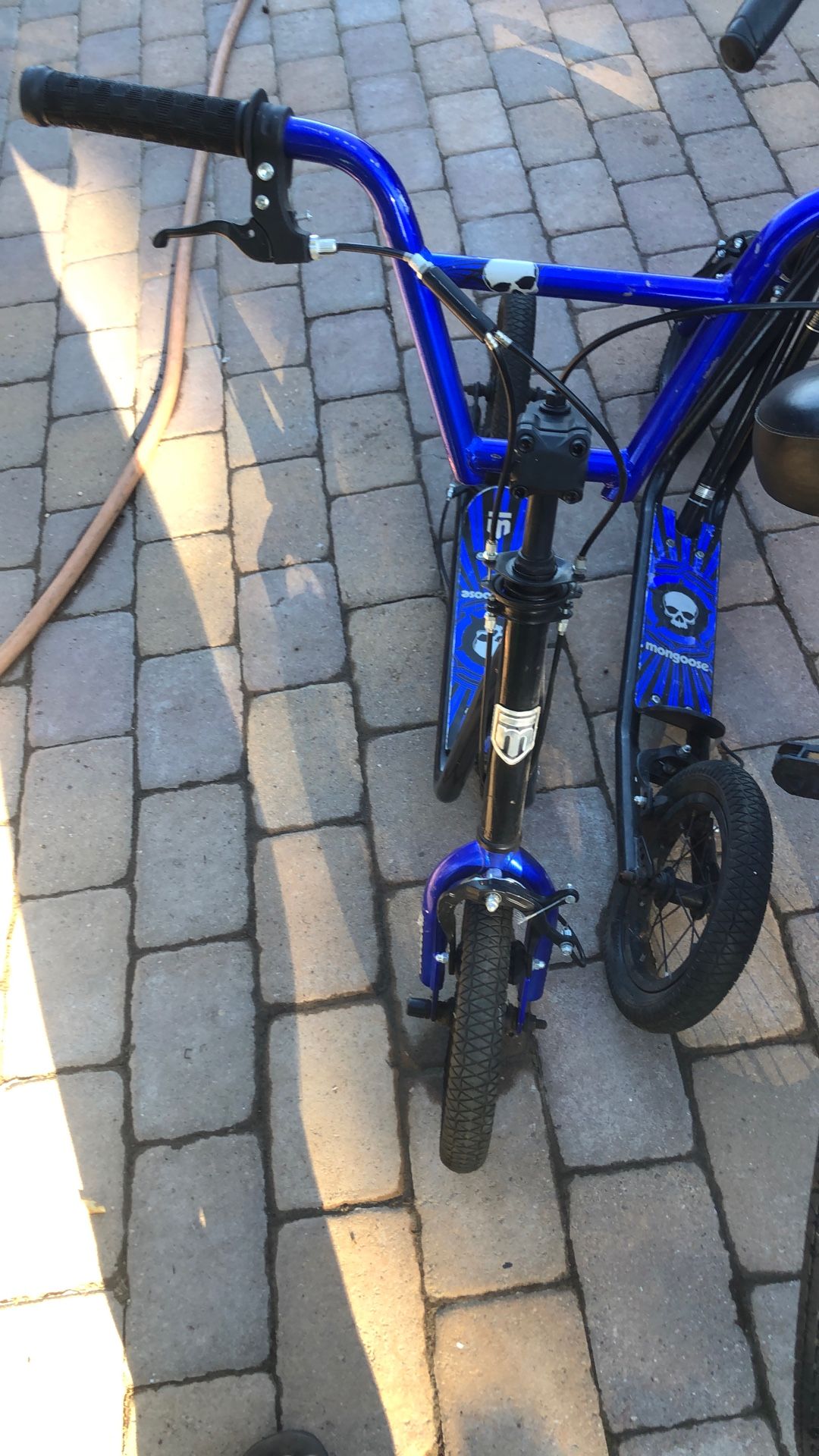 Mongoose Scooter