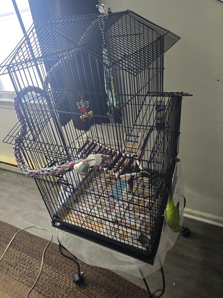 Bird Cage