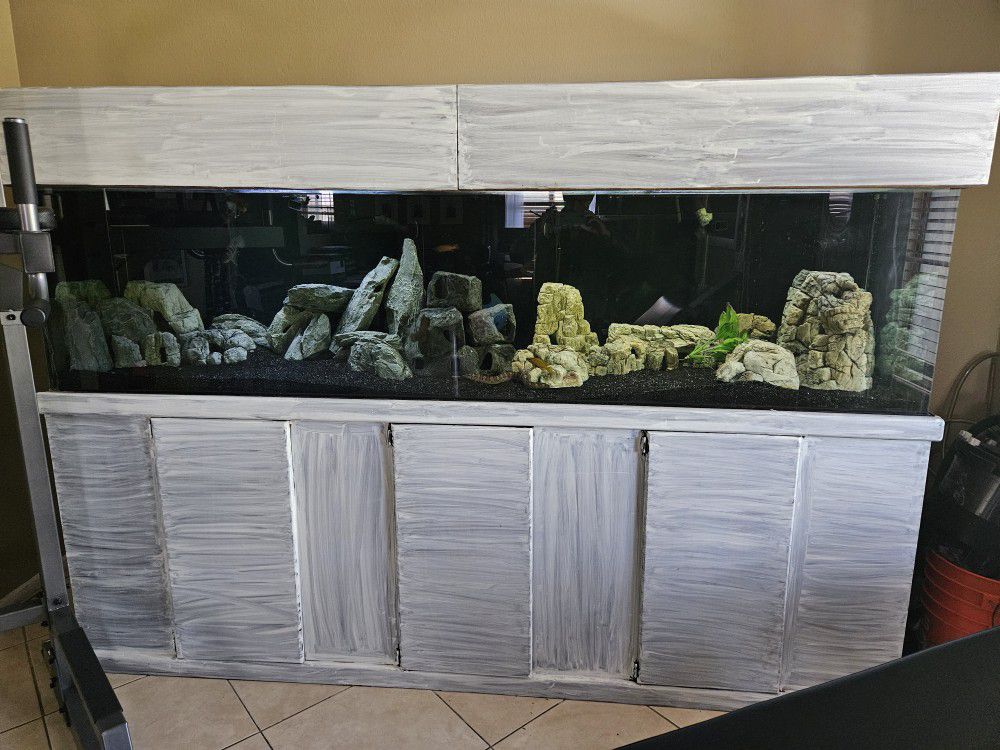 300 Gallon Glass Aquarium