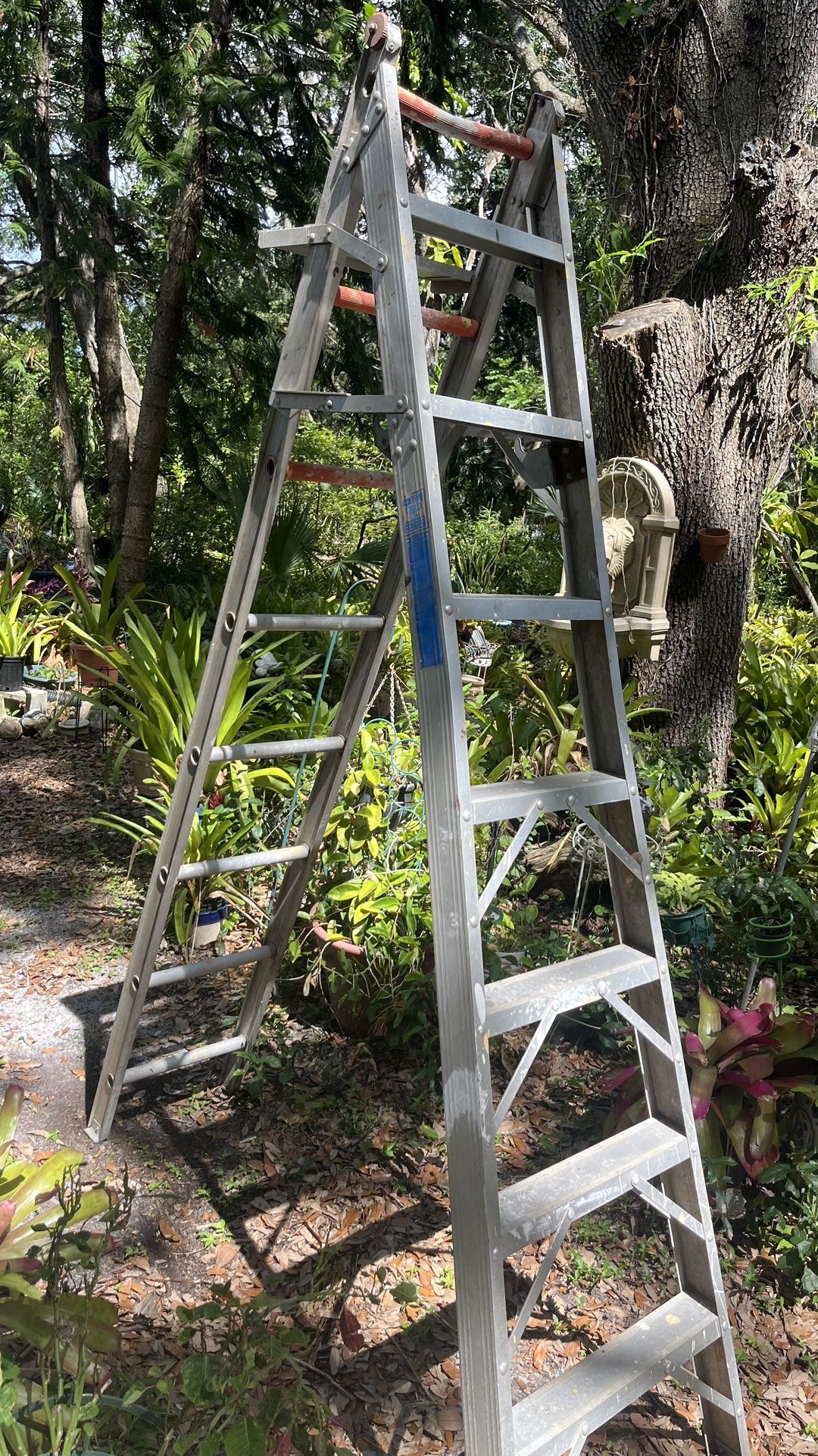 Ladder