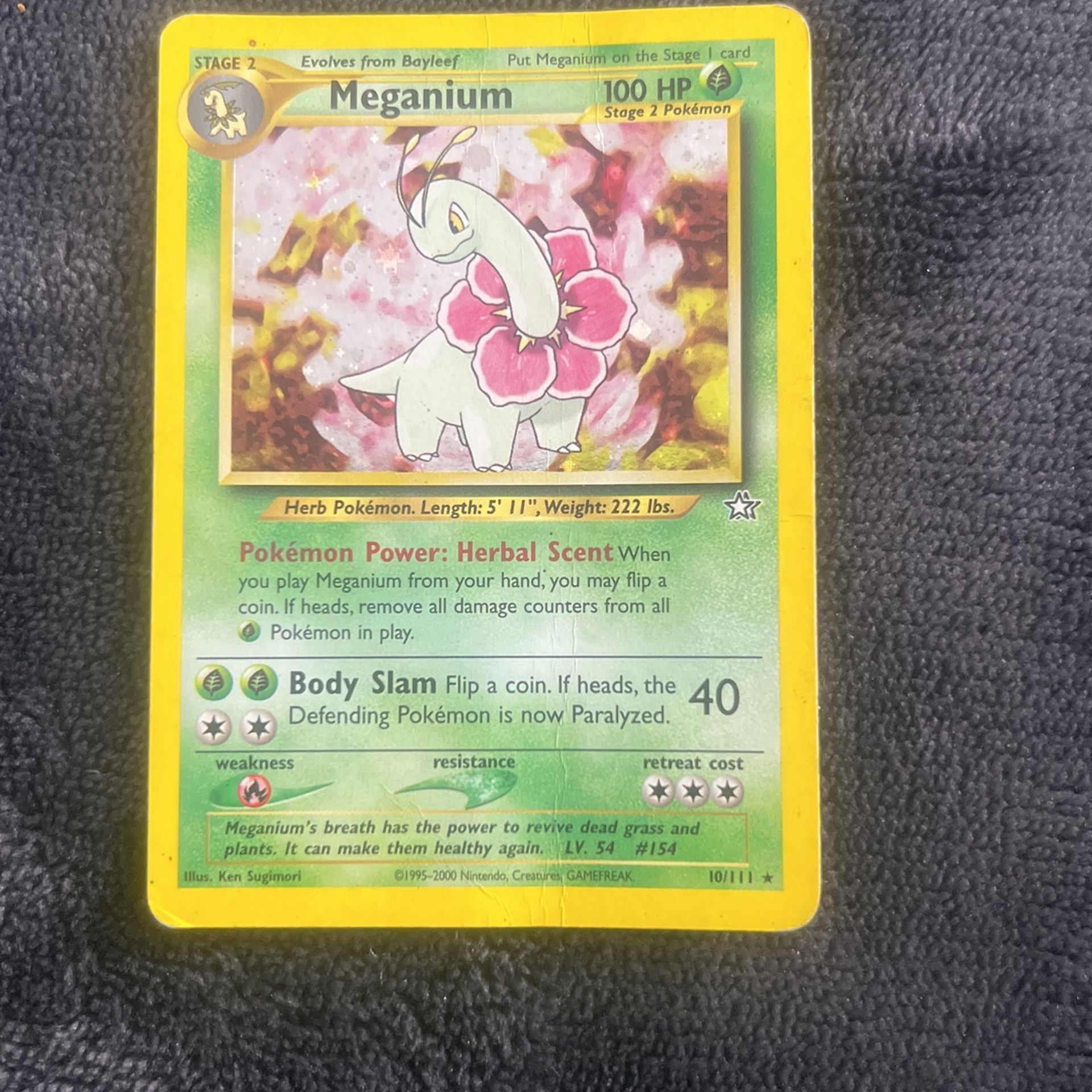 Meganium