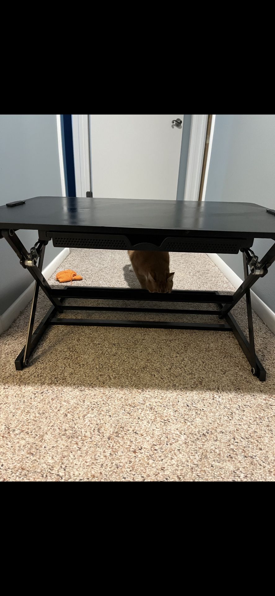 Desk Raiser With Storage For Standing