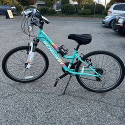 Schwinn High Timber Mountain Bike