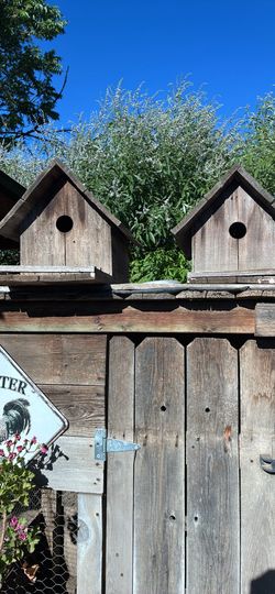 Bird houses