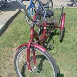 Schwinn Adult Tricycle 26 In 