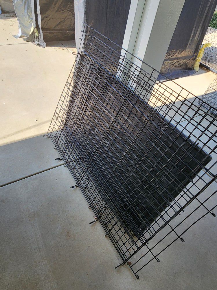 XL Used Dog Crate