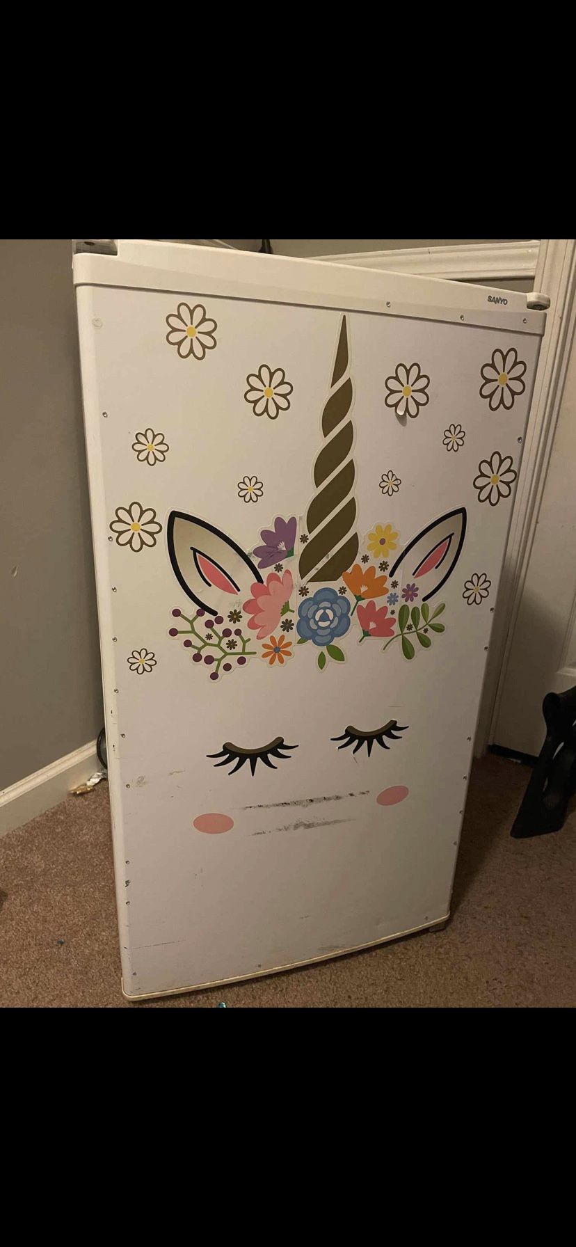 Mini Fridge 