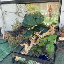 Reptile Enclosure Exo Terra Brand New With Everything Included 