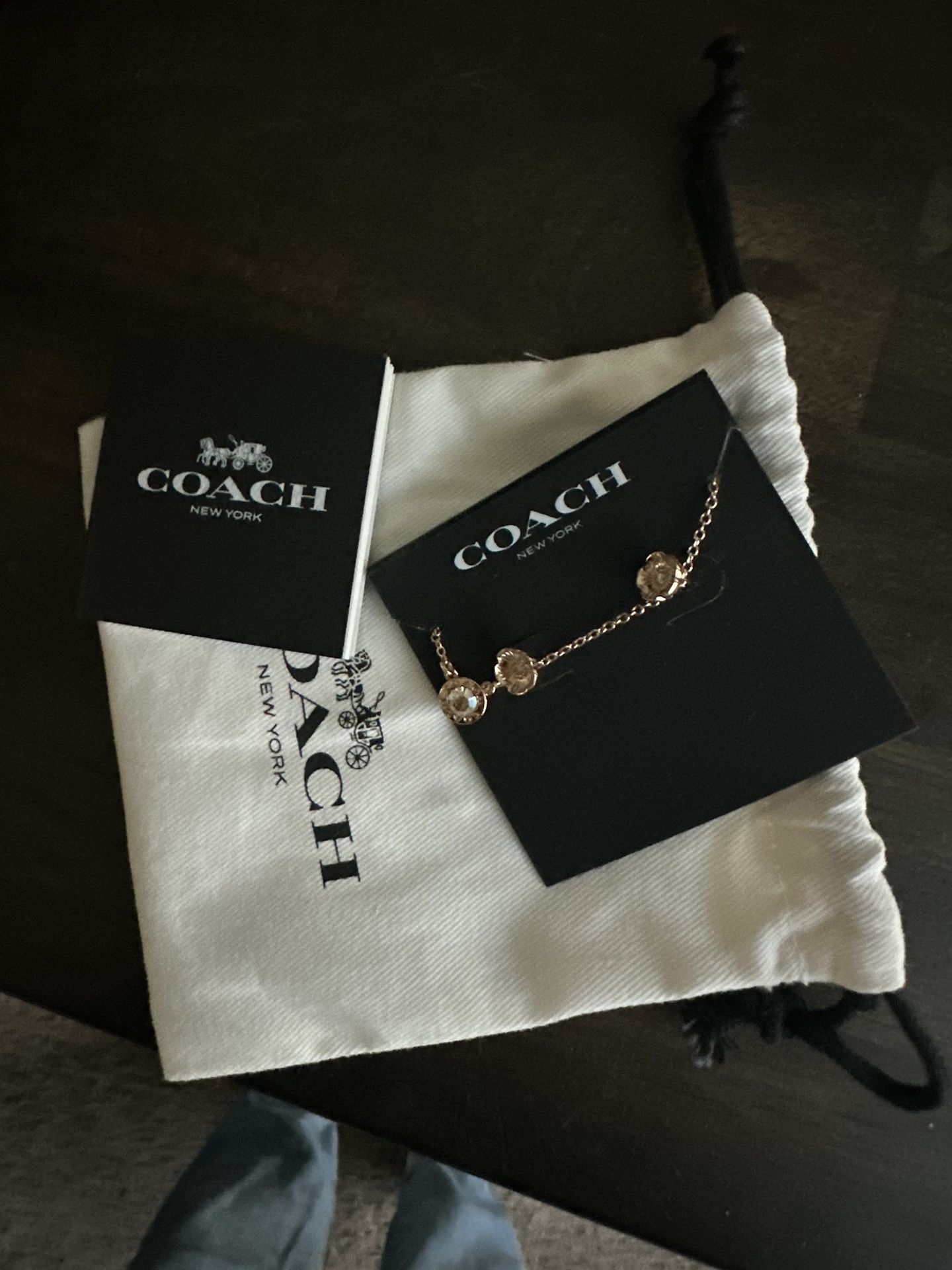 Coach Earring And Necklace 