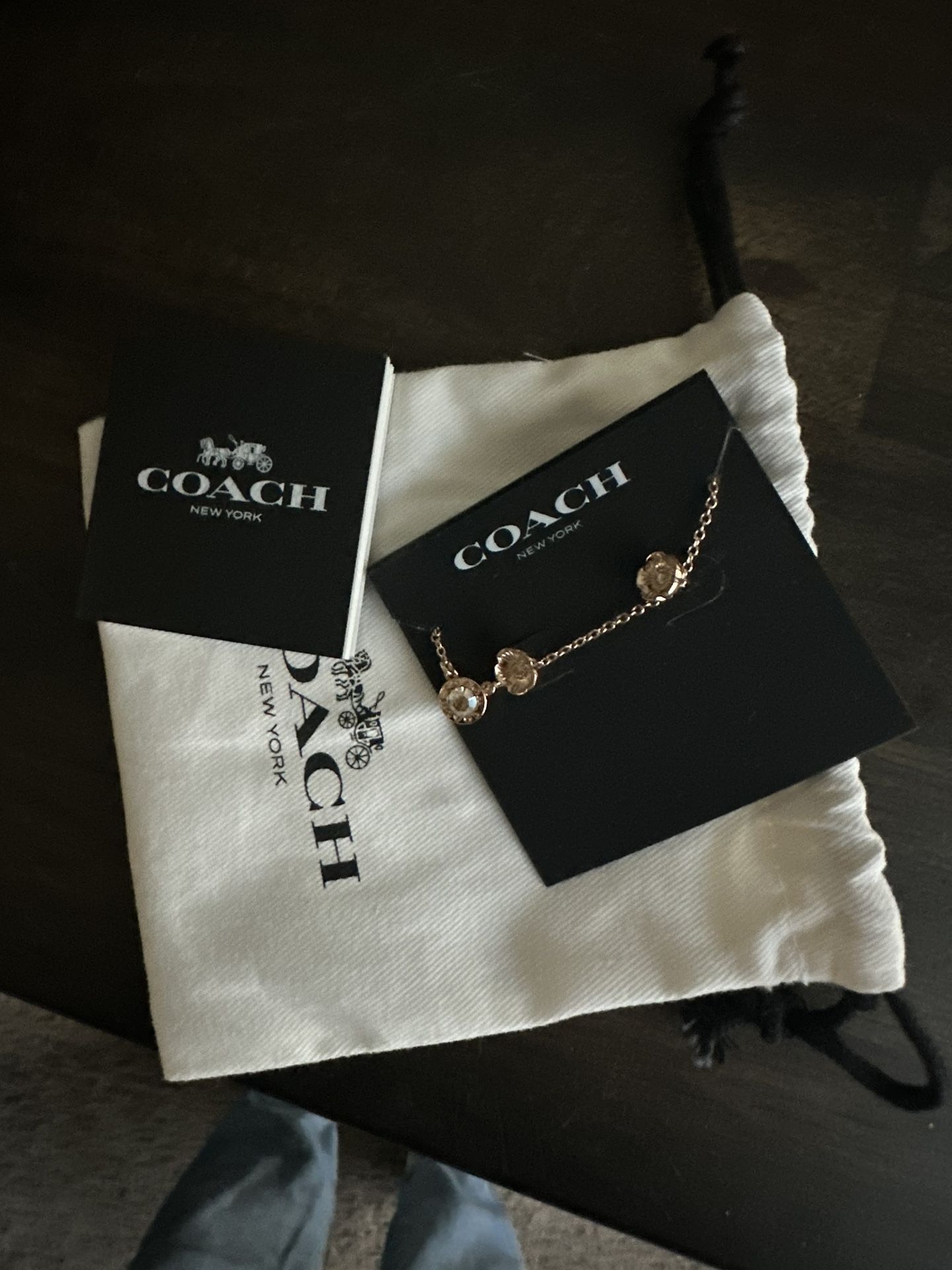 Coach Earring And Necklace