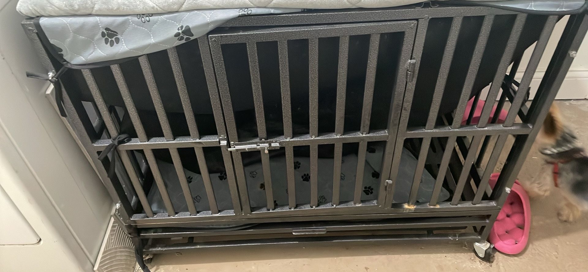 dog cage