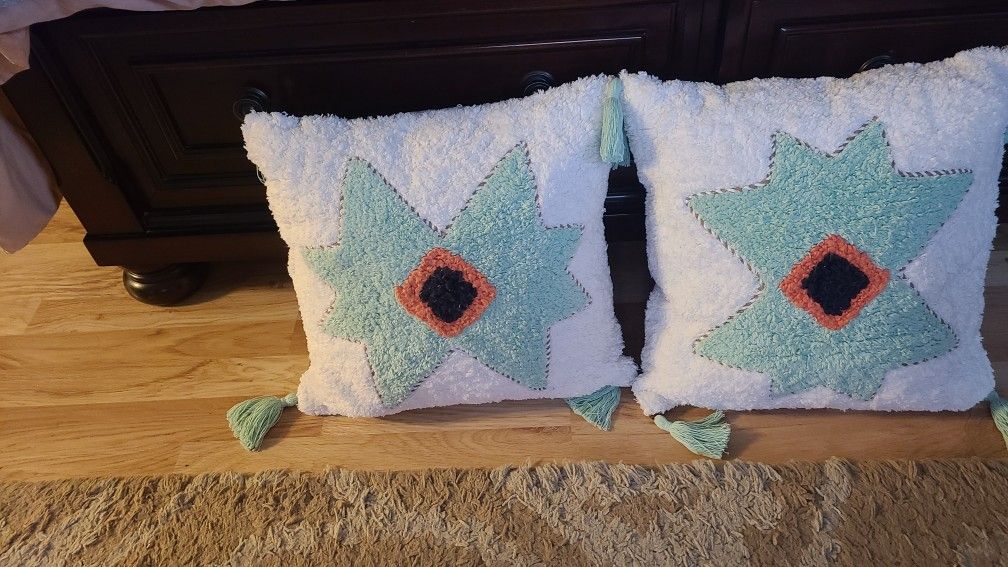 2 Throw Pillows 
