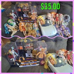 Rainbow High  Dolls 