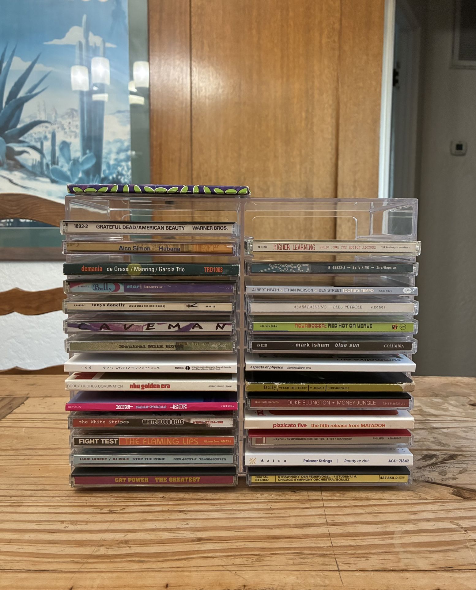 Random CDs - Animal Collective, MGMT, Cat Power, Neutral Milk Hotel