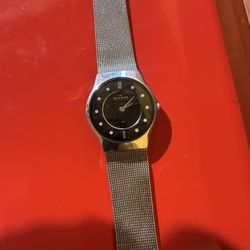 Skagen Watch 