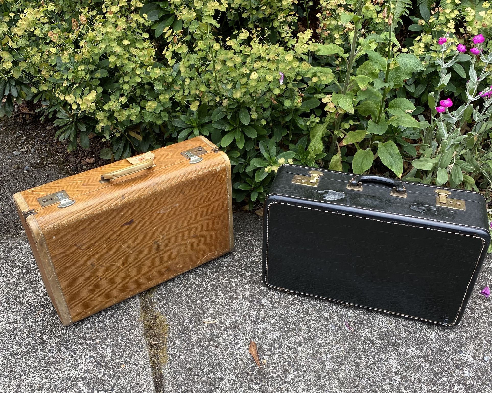 Suitcases vintage