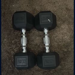 20.lbs Weights 