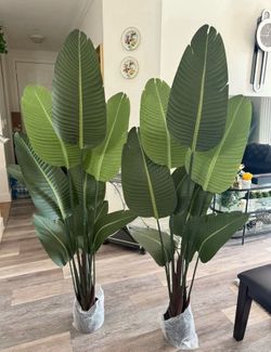 Pretty  artificial plant 6 ft tall set of 2 ! Brand New