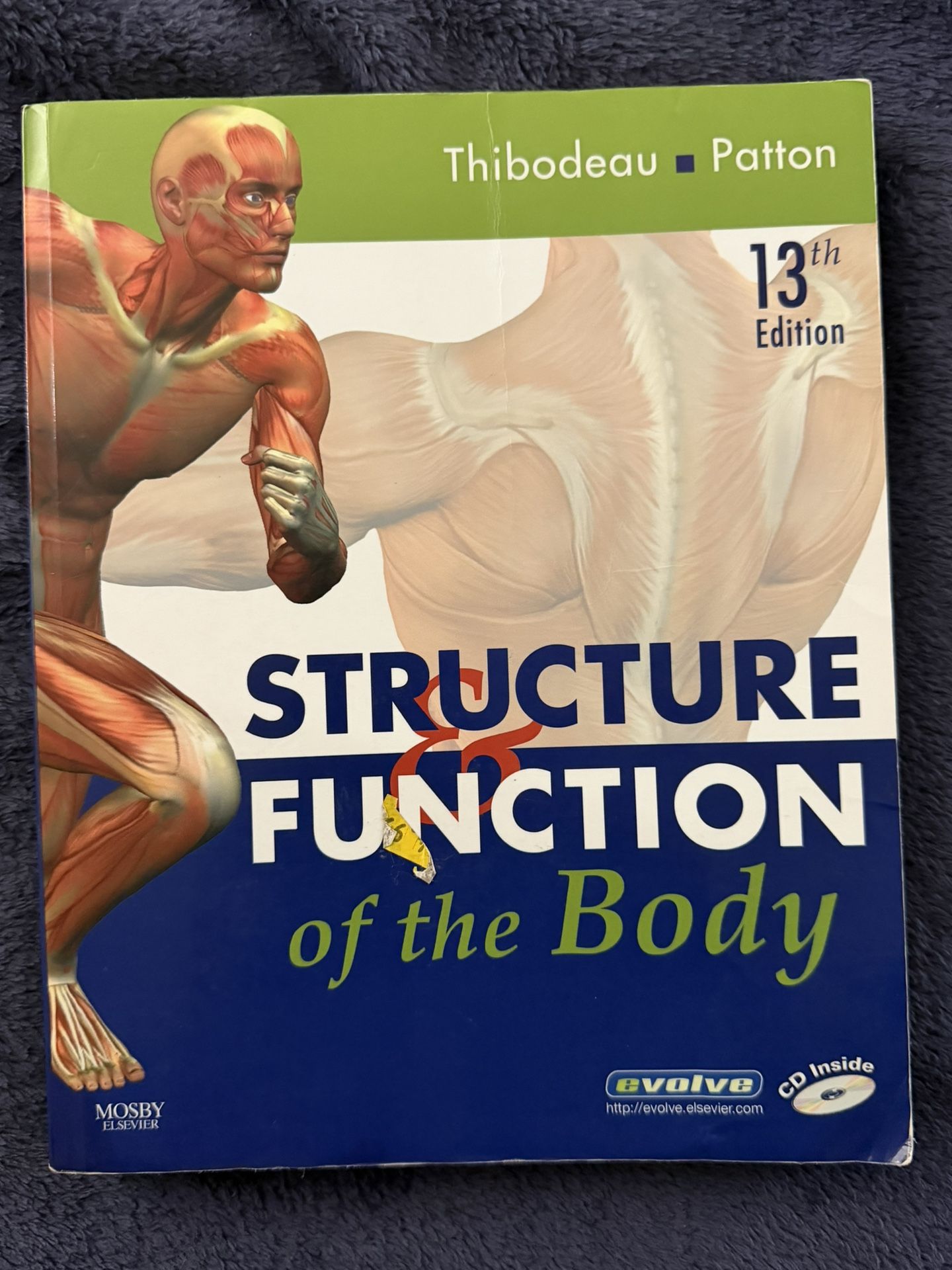 Structure & Function of the Body (13th Edition, Thibodeau/Patton)
