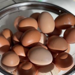 Organic Free Range Fresh Chicken Eggs