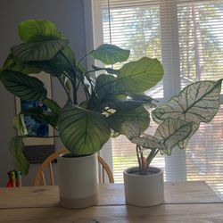 Faux Plants From Target (large and Medium)