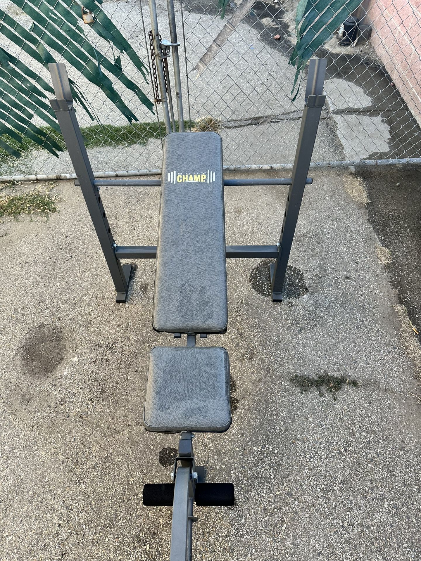 Weight Bench