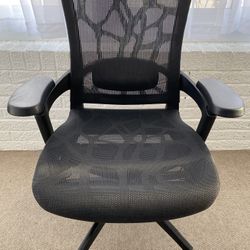Raynor Skate Mesh Ergonomic Mid-Back Chair, Adjustable Arms, Black