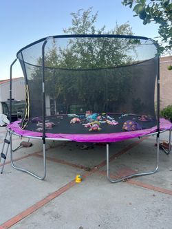 Outdoor Trampoline with safety enclosure and ladder