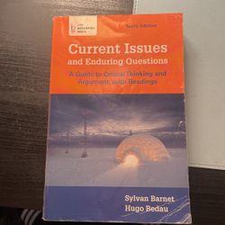 Current Issues And Enduring Questions By Sylvan Barney Hugo Beady
