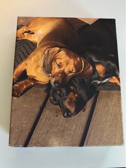 Wall Decor Dachshund “Doxie” Dog Portrait Photo Canvas Wall Art, 12” X 9.5”, Used