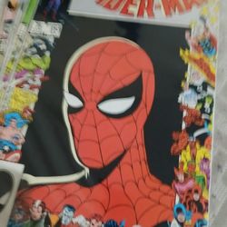 Marvel 25th Anniversary Covers